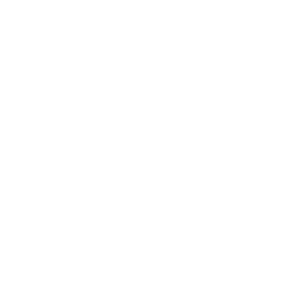 ArenaNet