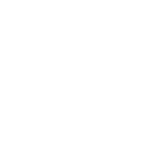 Wildbrain